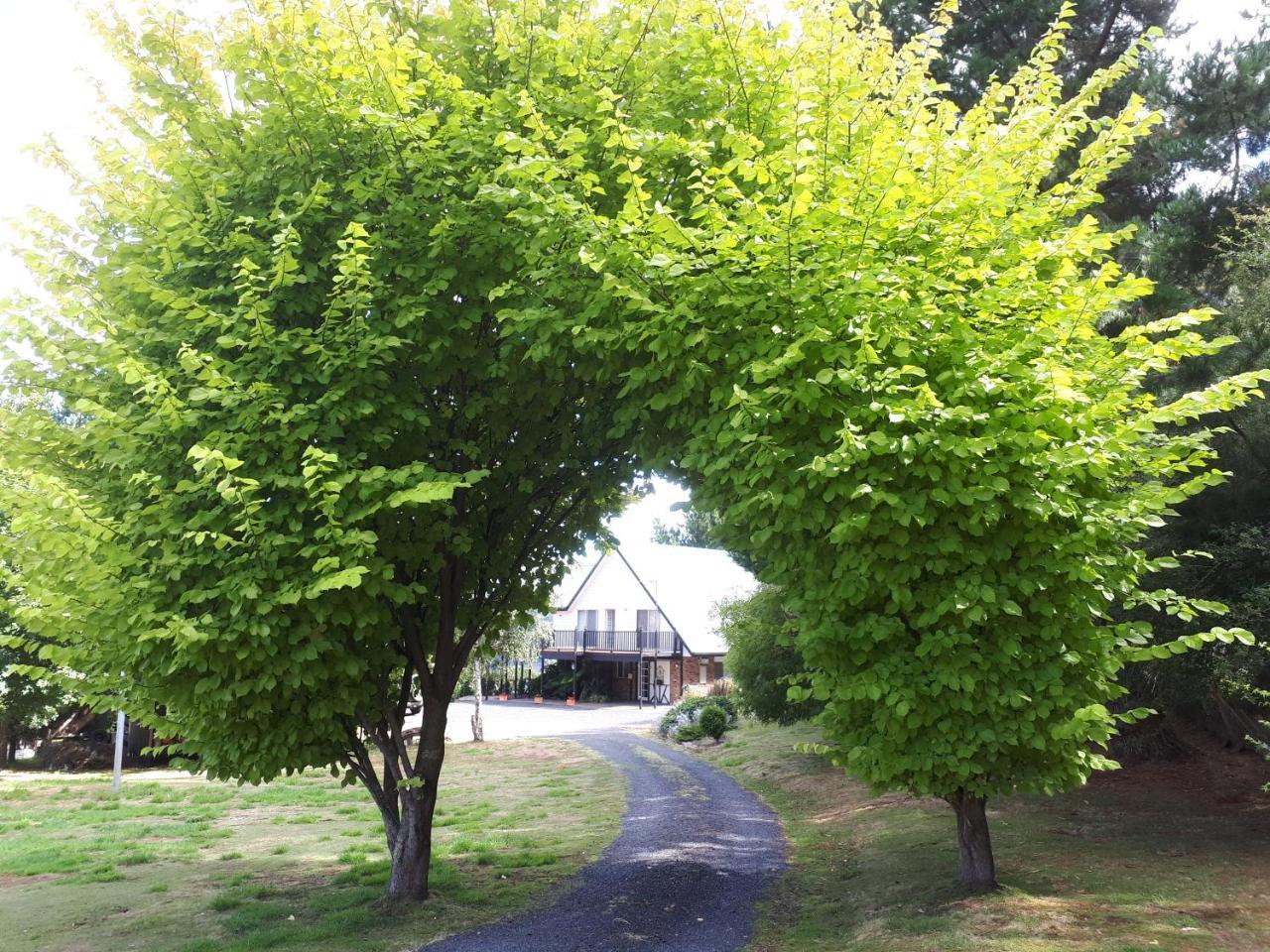 Robin'S Nest B&B Wilmot Luaran gambar
